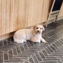 놀다가개유치원 이미지