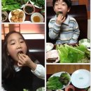 지누농장 Daum카페