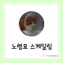 다정한 동물병원 이미지