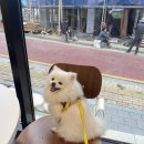 살피정원 이미지