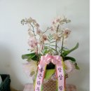 통일로 금촌농장 네이버블로그