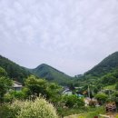 시골당구클럽 이미지