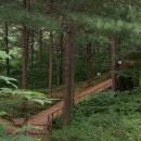 청태산자연휴양림 이미지