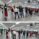 라인댄스 주간 교육 이미지