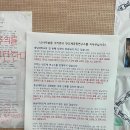 소나무숲 이미지