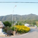 수한마을 이미지