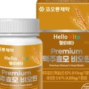 헬로알로 이미지