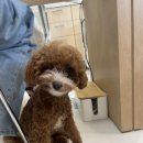아우어즈 네일샵
