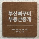 신평이레공인중개사사무소 | 안똘똘한 한채?어떻게 해야할까요?(부산 빠꾸미 부동산 상담 후기)