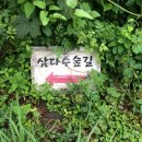 삼다수숲길 2코스 이미지