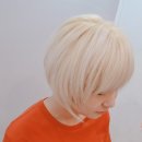 명동헤어샵 - 안동시 평화동 | 명동헤어샵