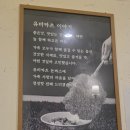 유미카츠포일점