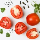 코리아히록스 이미지