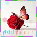 심증은 있으되 물증은 없는 ... 이미지