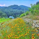산새음 이미지