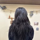 10년 단골 의정부 신곡동 라미헤어룸❤️ 숏단발 후기