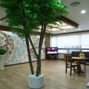 남산정요양병원 이미지