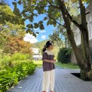 세븐일레븐 송추푸른점 | 양주 카페 추천-헤세의 정원 미술관 송추계곡 즐기는 양주 드라이브 코스