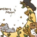 달빛 햄스터리 서울점 이미지