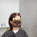 제이씨앤드컴퍼니