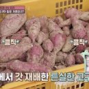 정상농원 이미지