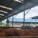 태양축사 이미지