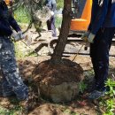 흑송농장(2) 이미지