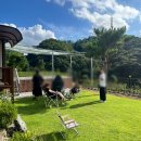 바우바우애견펜션 이미지