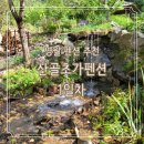 [산골초가펜션] (1일차) 영월서부시장 / 빈대떡 맛집 / 애견동반 펜션 / 강원도 영월 펜션 추천 / 내돈내산