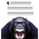 락피시방 | 1월 5주차 모음 ʕ๑ᗒꄃᗕฅʔ