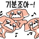 신성꽃집 이미지