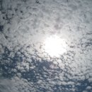 구름바다