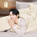 세사리빙 이미지