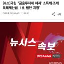 국힘 "'금융투자세 폐지' 소득세·조세특례제한법, 1호 법안 지정" 이미지