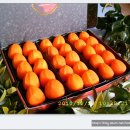 거시기농원 이미지