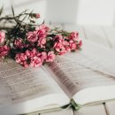 성경농장 이미지