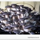 예덴농원 이미지