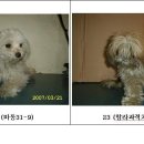 동우주유소 앞 이미지