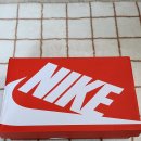 4316 | 나이키 된장포스 C1TY 프리미엄 코듀라 HJ4316-00 내돈내산 후기