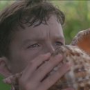 영화로 보는 문학 이미지