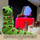 귀빈컬렉션 | [아무아쥬] 프라이빗 세션 참여 후기❤️