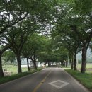 지리산청학농협하나로마트 이미지