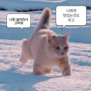 연남끝그리고시작