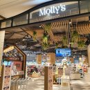 몰리스 놀이터/호텔 이미지