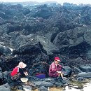 남원읍-40 이미지