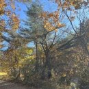 연가리맑은터 이미지