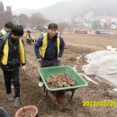 영보농장 이미지