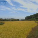 이반성면-1 이미지