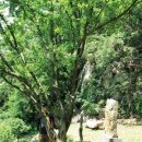 서석풍암리 터미널 이미지