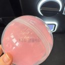 럭키컨설팅 | 성수 팝업 방문만 해도 럭키드로우 ! 나스 방문 후기 + 위치 이벤트 정보